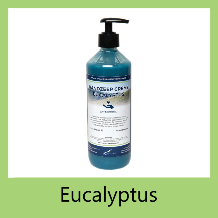 Handzeep Eucalyptus 500 ml met pomp
