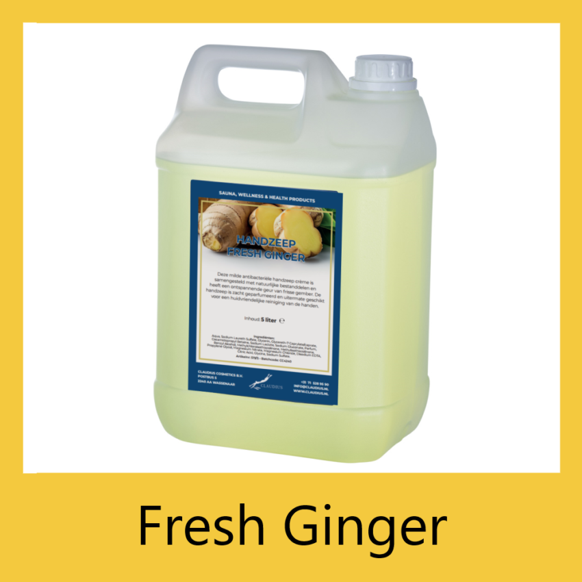 Handzeep Fresh Ginger 5 liter